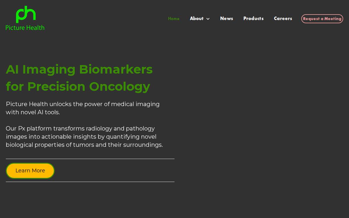 Picture Health website preview