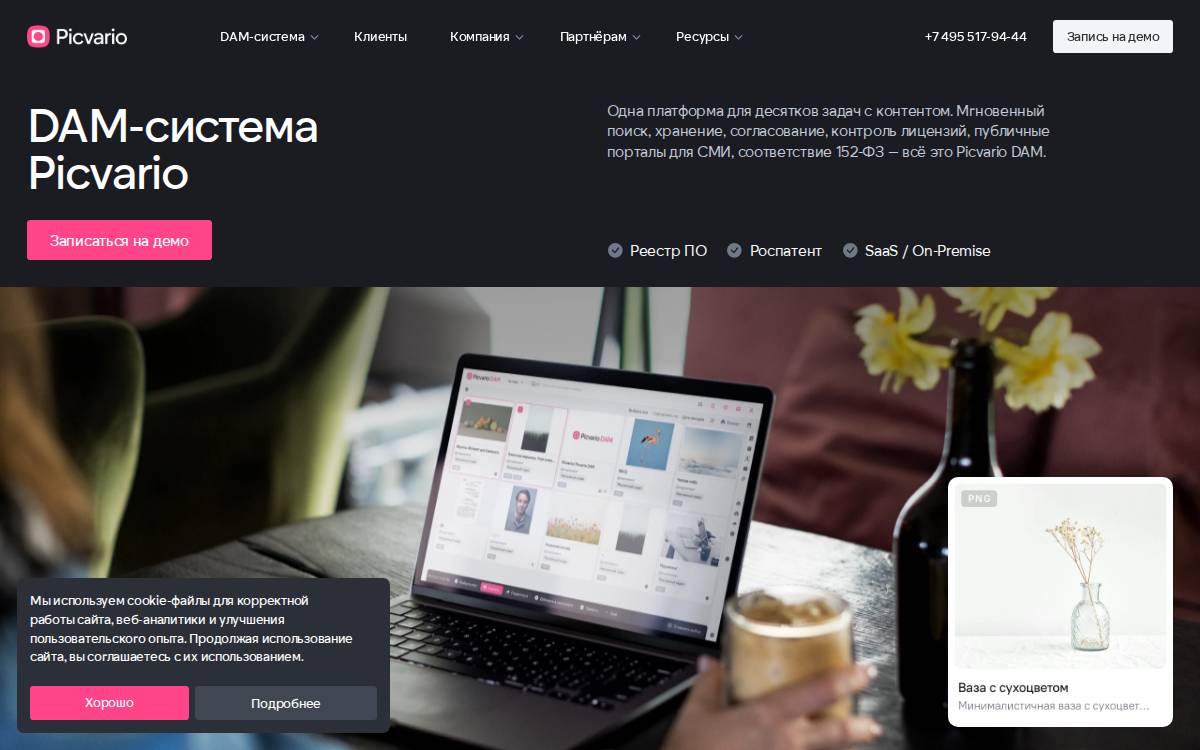 Picvario website preview