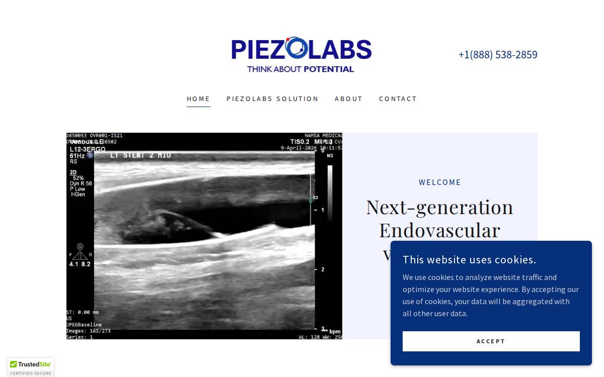 Piezolabs website preview