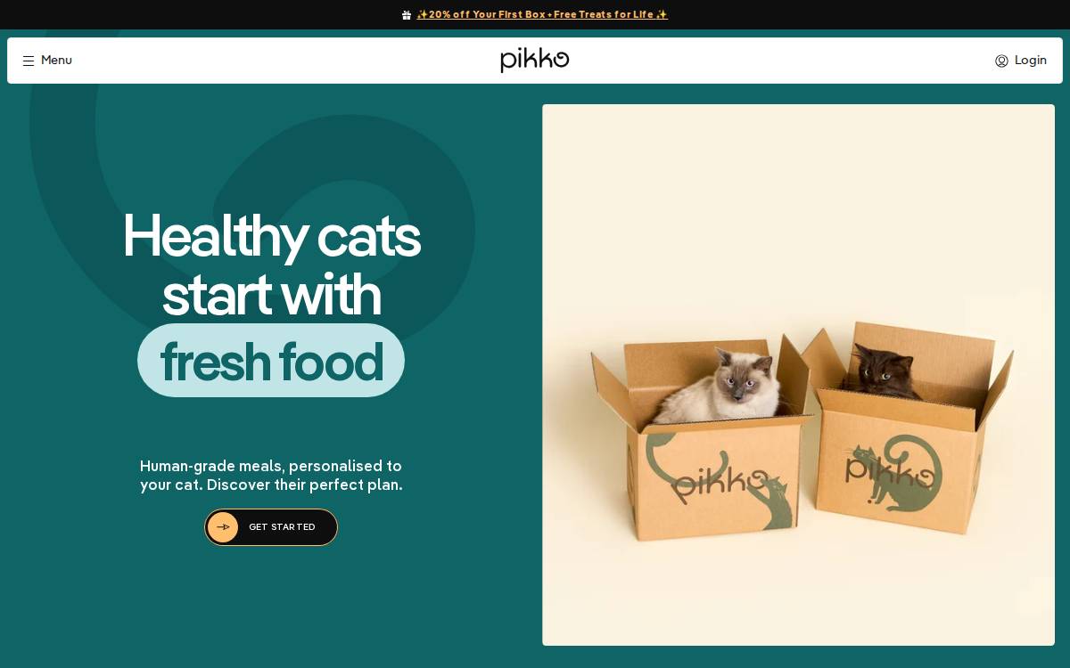 Pikko website preview