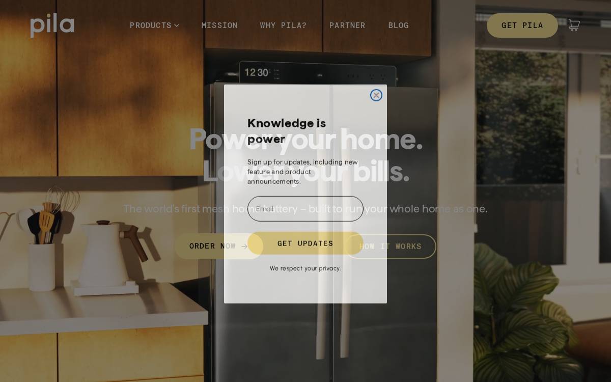 Pila Energy website preview