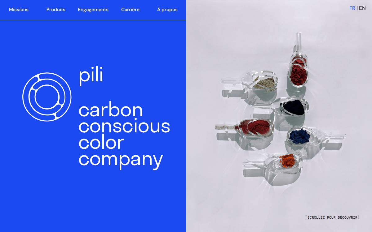 Pili website preview