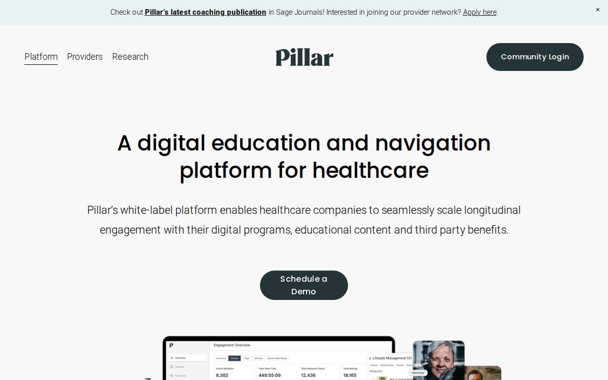 Pillar website preview