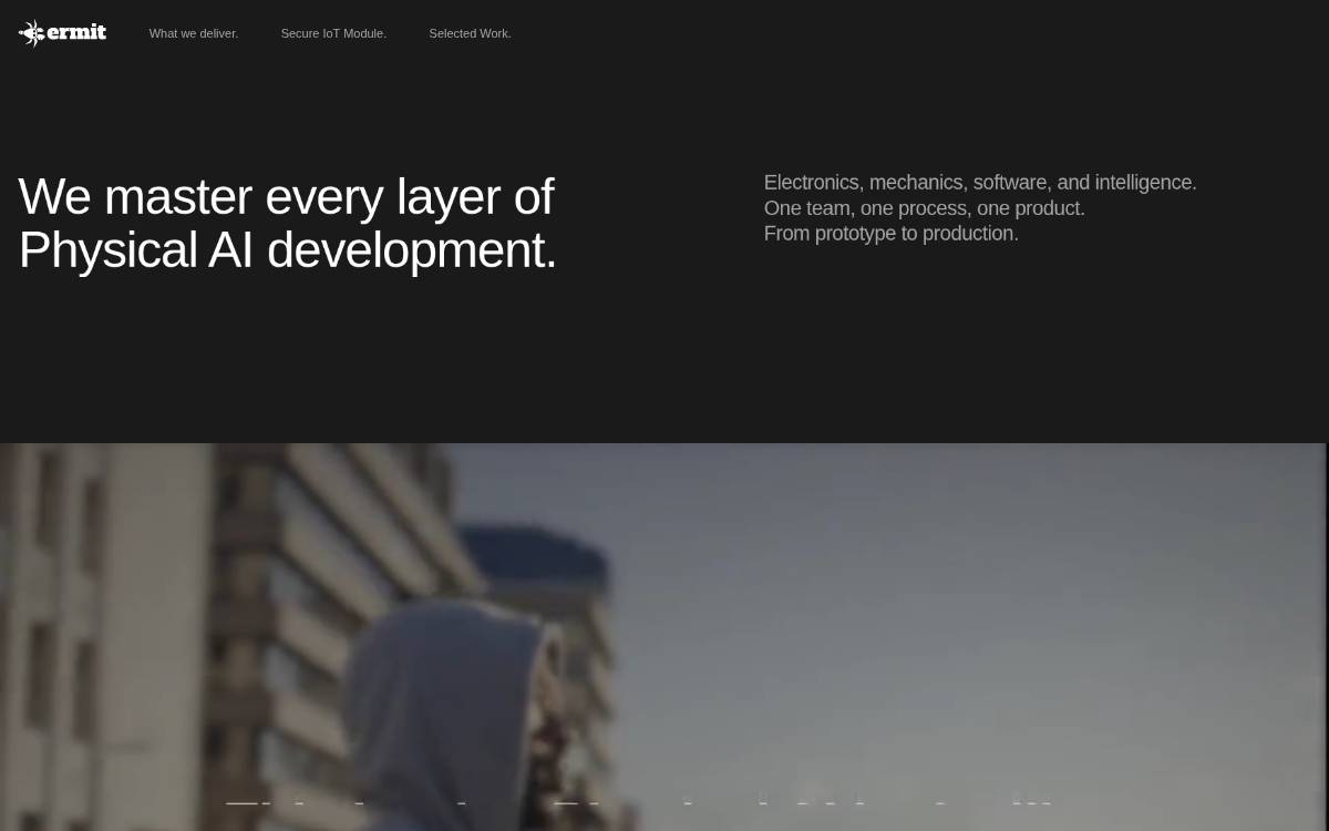 Pillo website preview