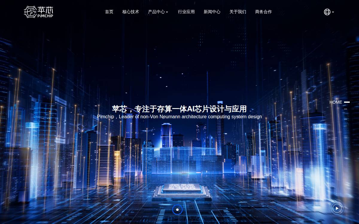 Pimchip website preview