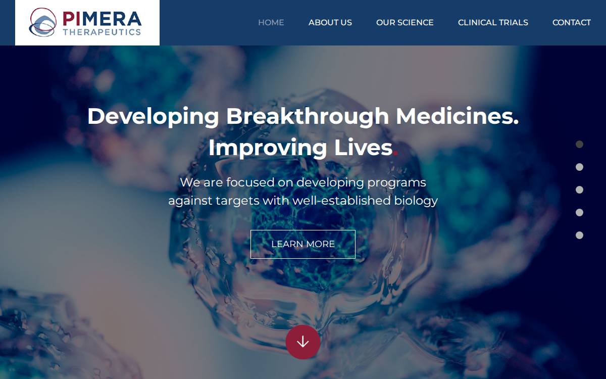Pimera website preview