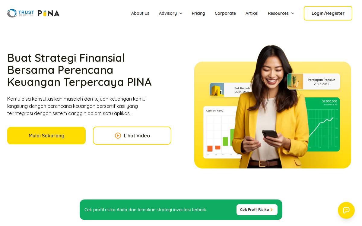 PINA website preview
