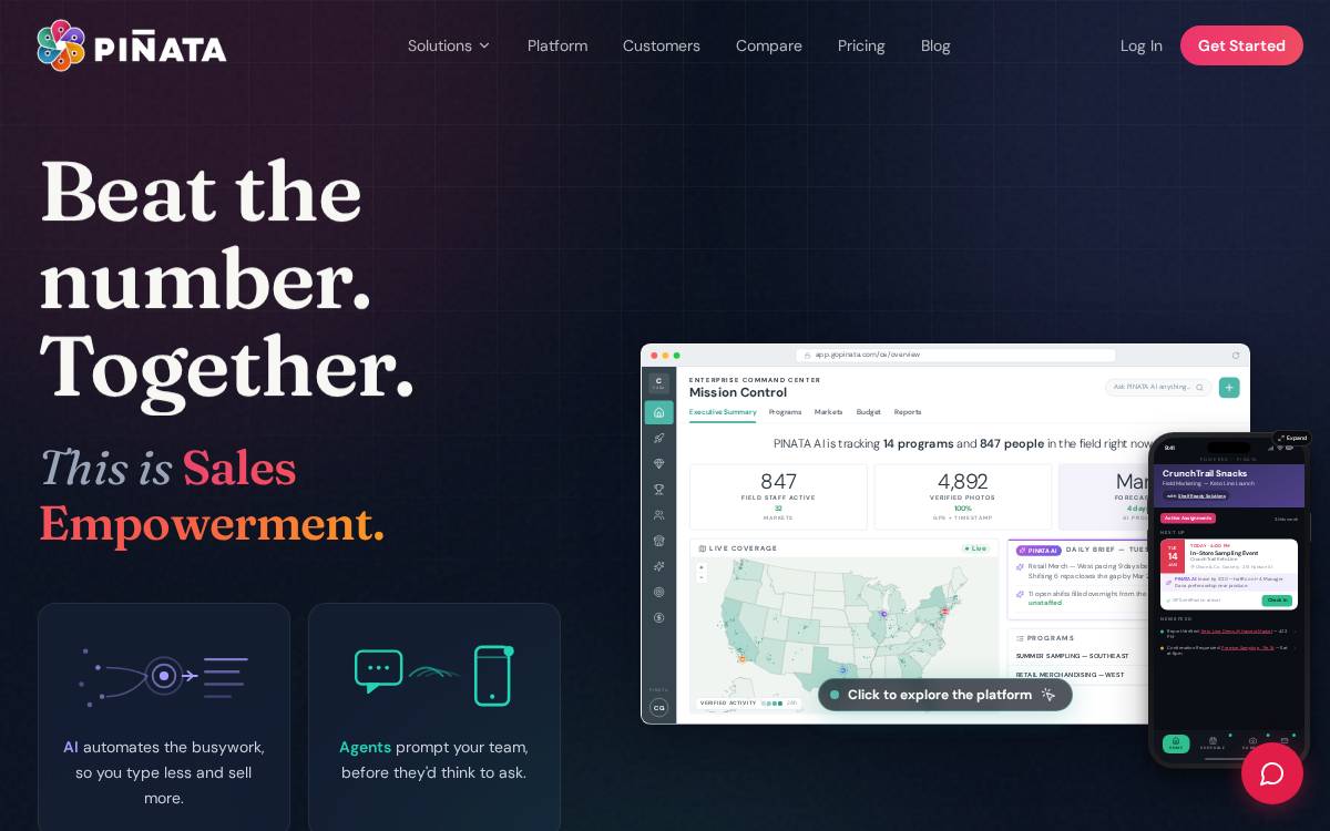 Pinata website preview