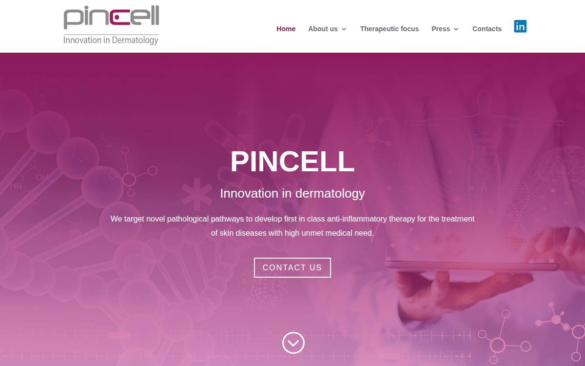 PinCell website preview