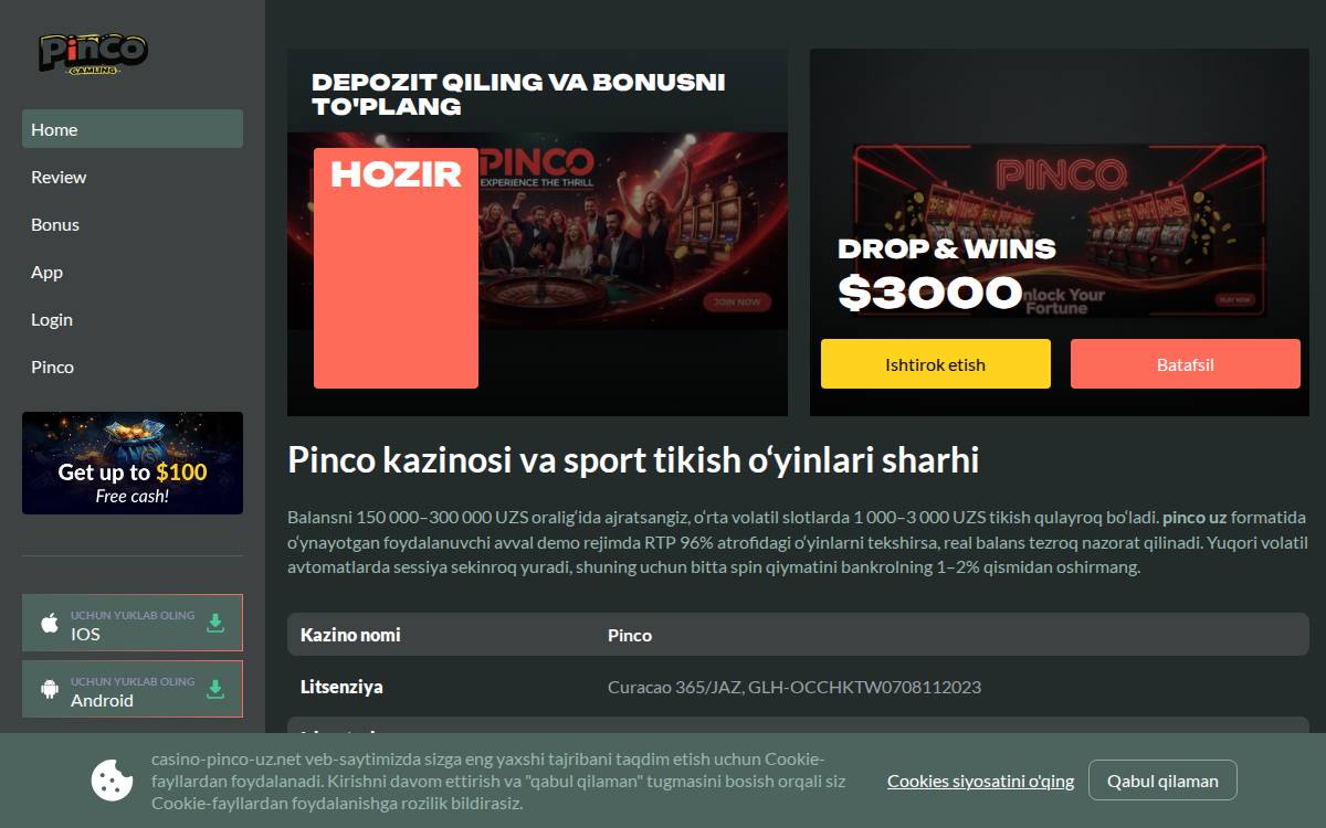pinco uz website preview