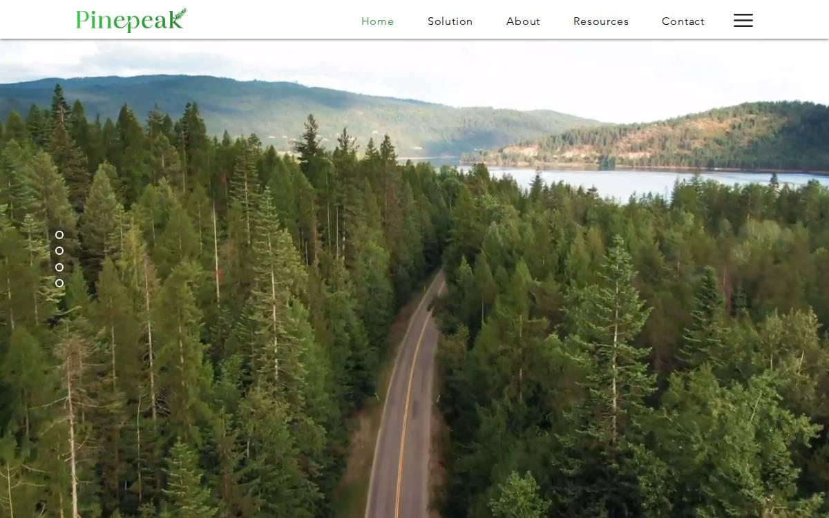 Pinepeak website preview