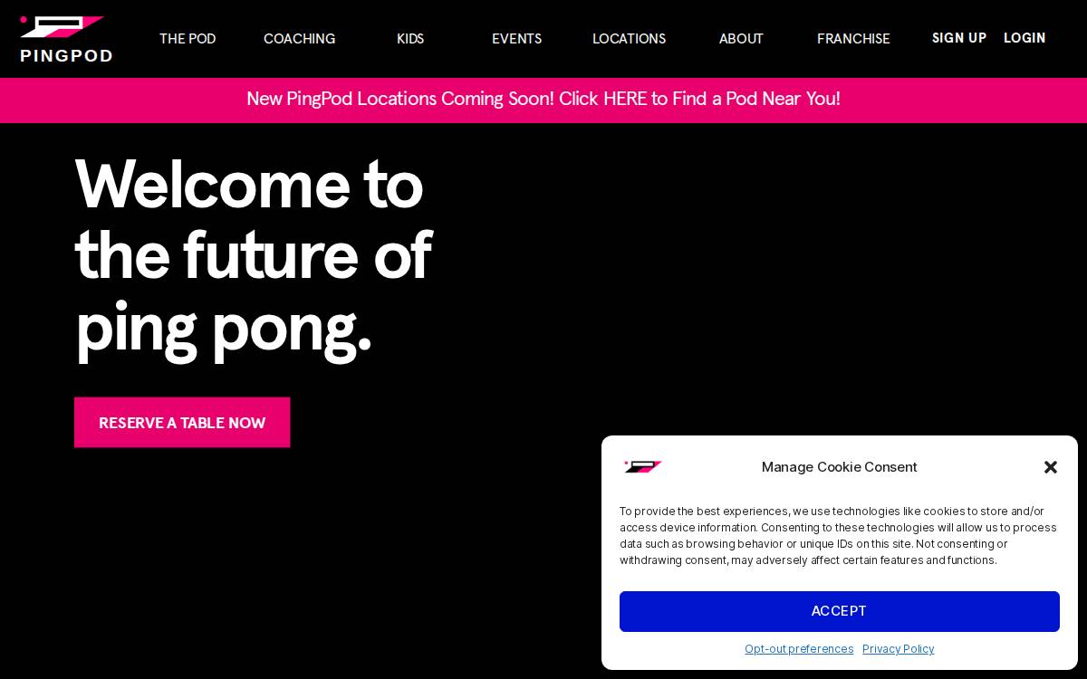 PingPod website preview