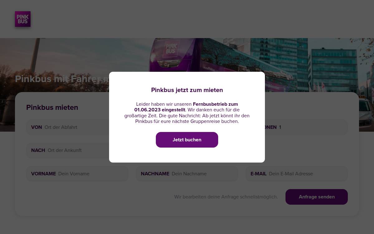 Pinkbus website preview