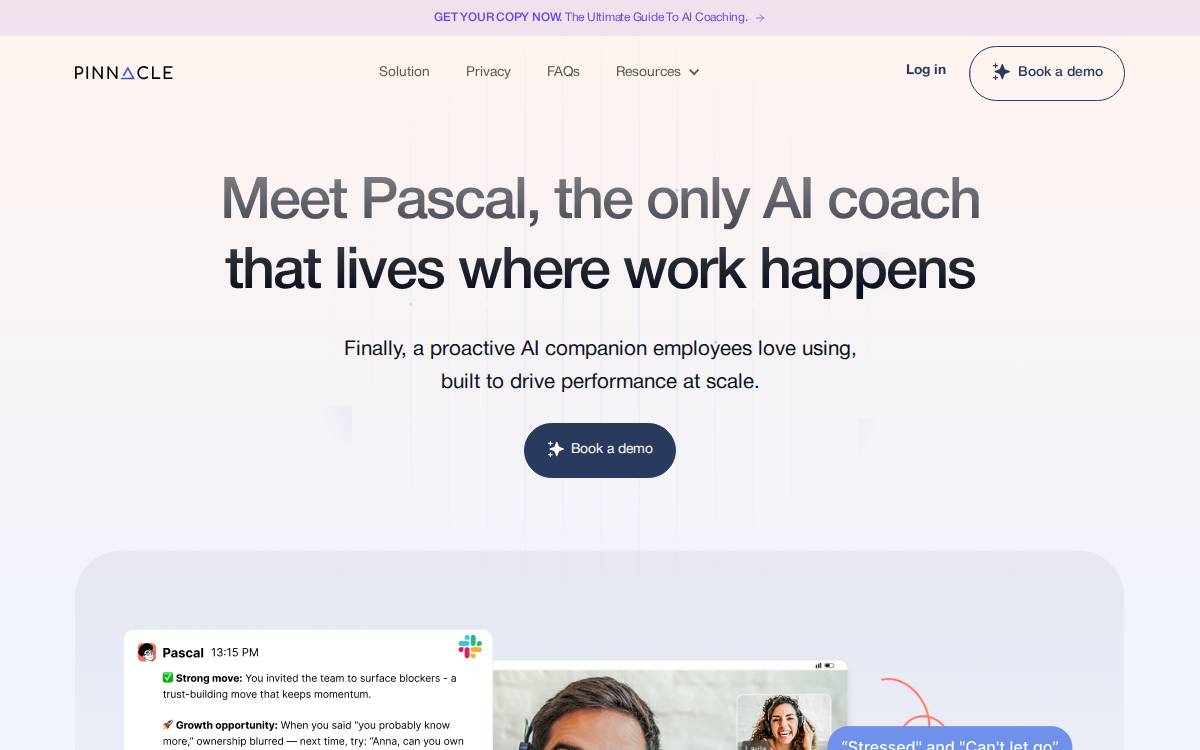 Pinnacle website preview