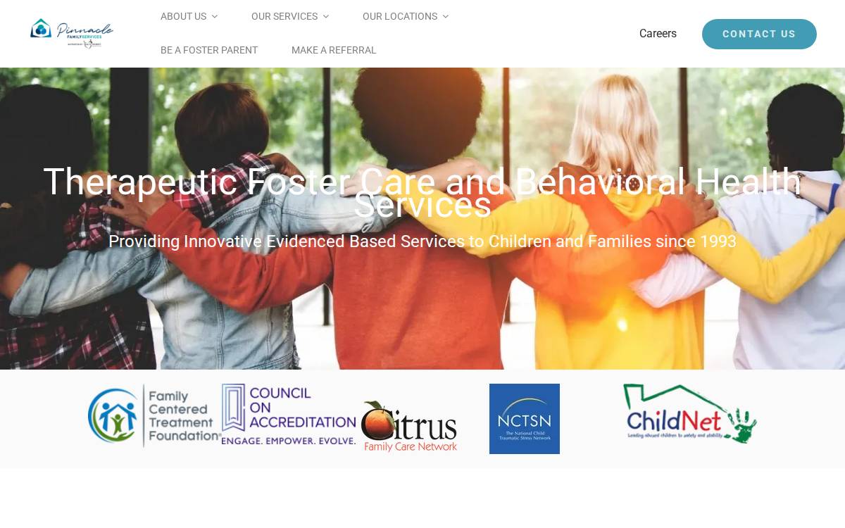 Pinnacle Family Services website preview