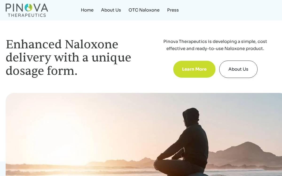 Pinovatx website preview