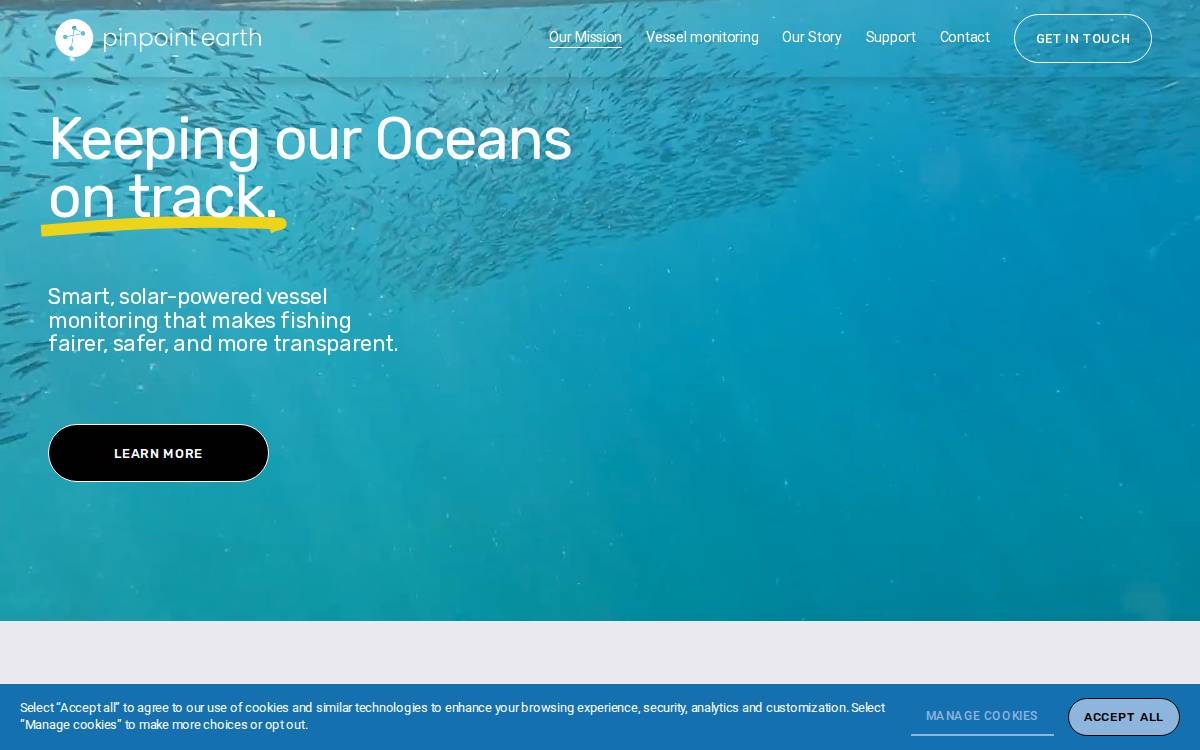 Pinpoint website preview