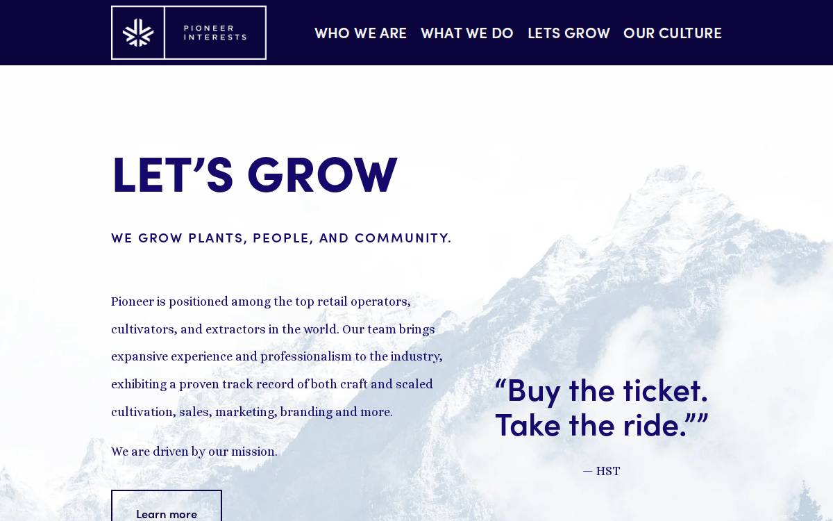 Pioneer Interests website preview