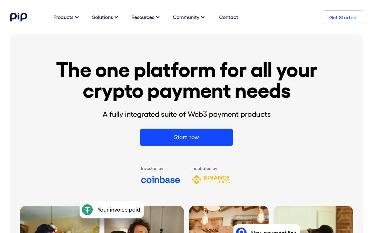 PIP website preview