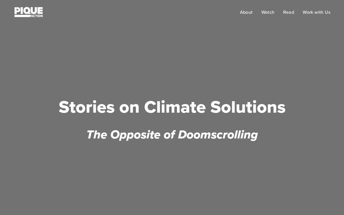 Piqueaction website preview
