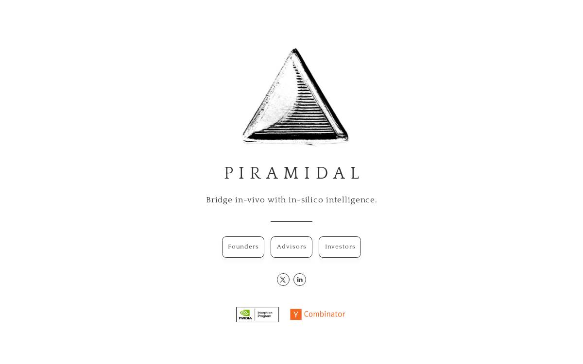 Piramidal website preview
