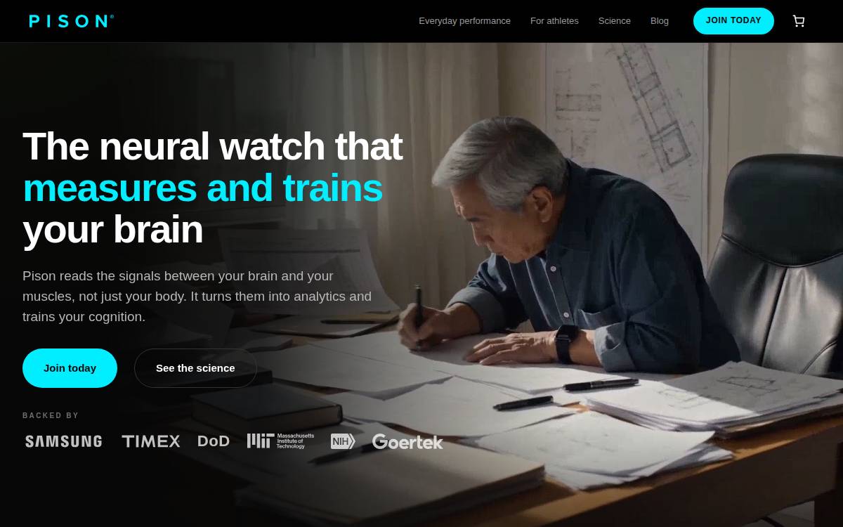 Pison Technology website preview