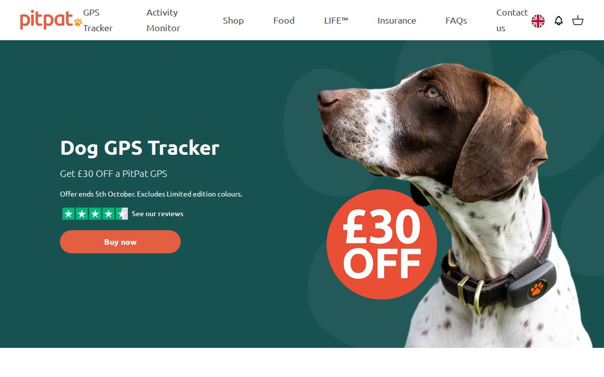 PitPat website preview