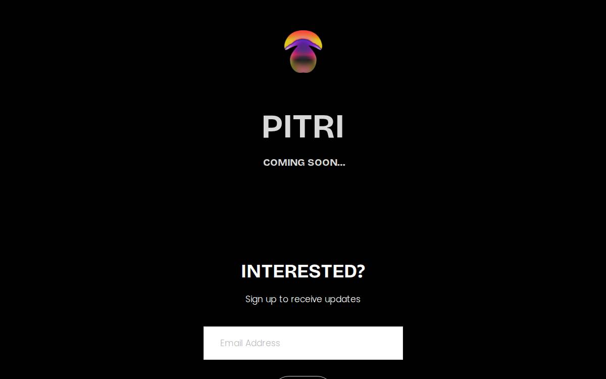 Pitri website preview