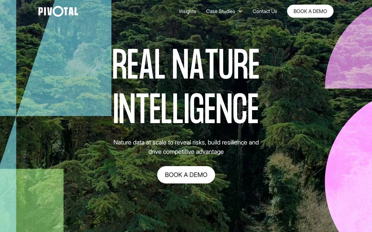 Pivotal website preview