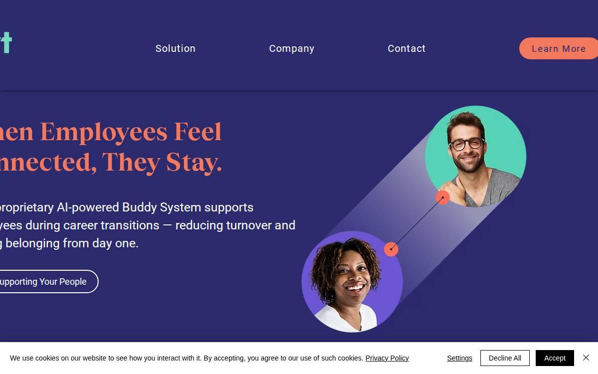 PIVT website preview