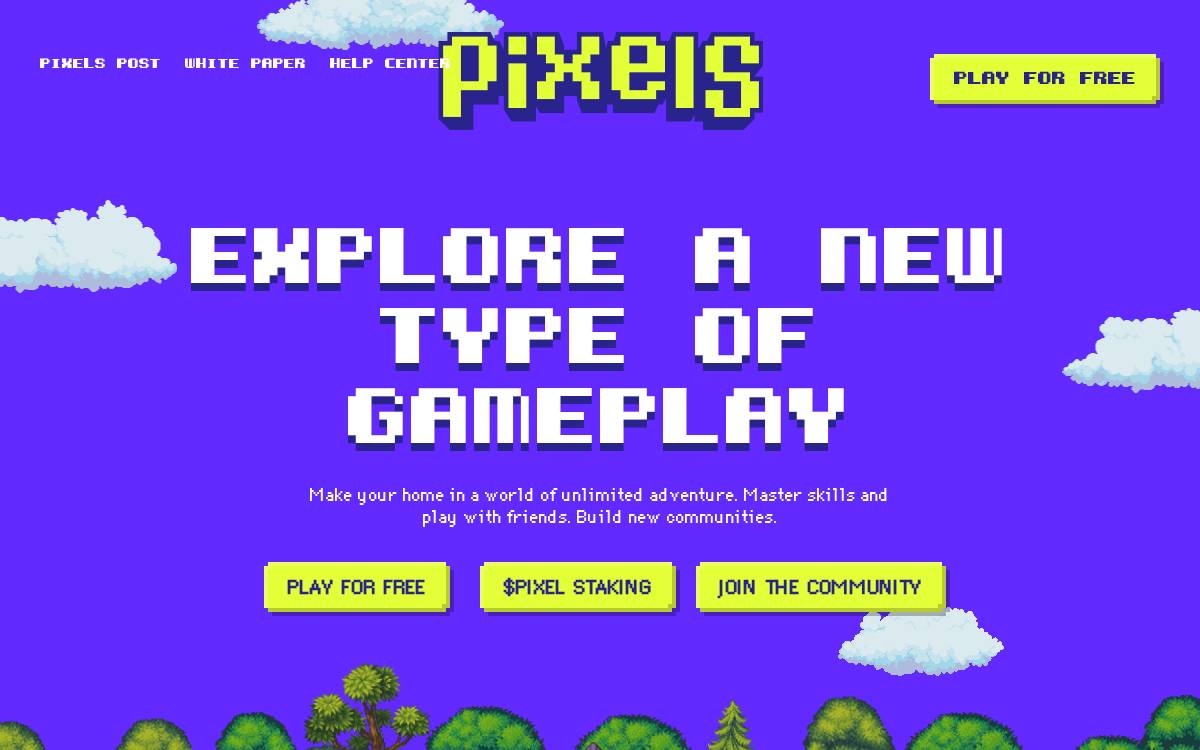 Pixels Private website preview