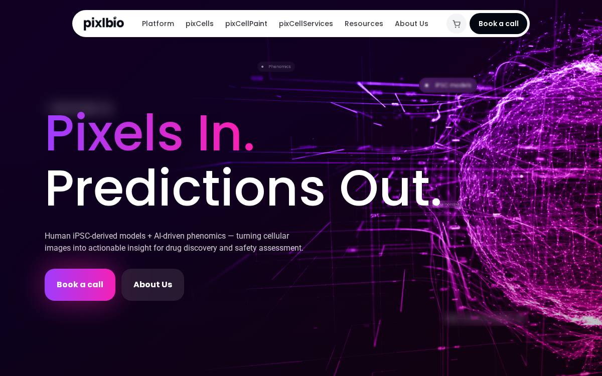 Pixl website preview