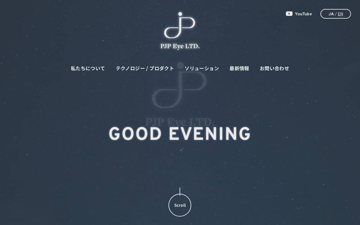 PJP Eye LTD. website preview