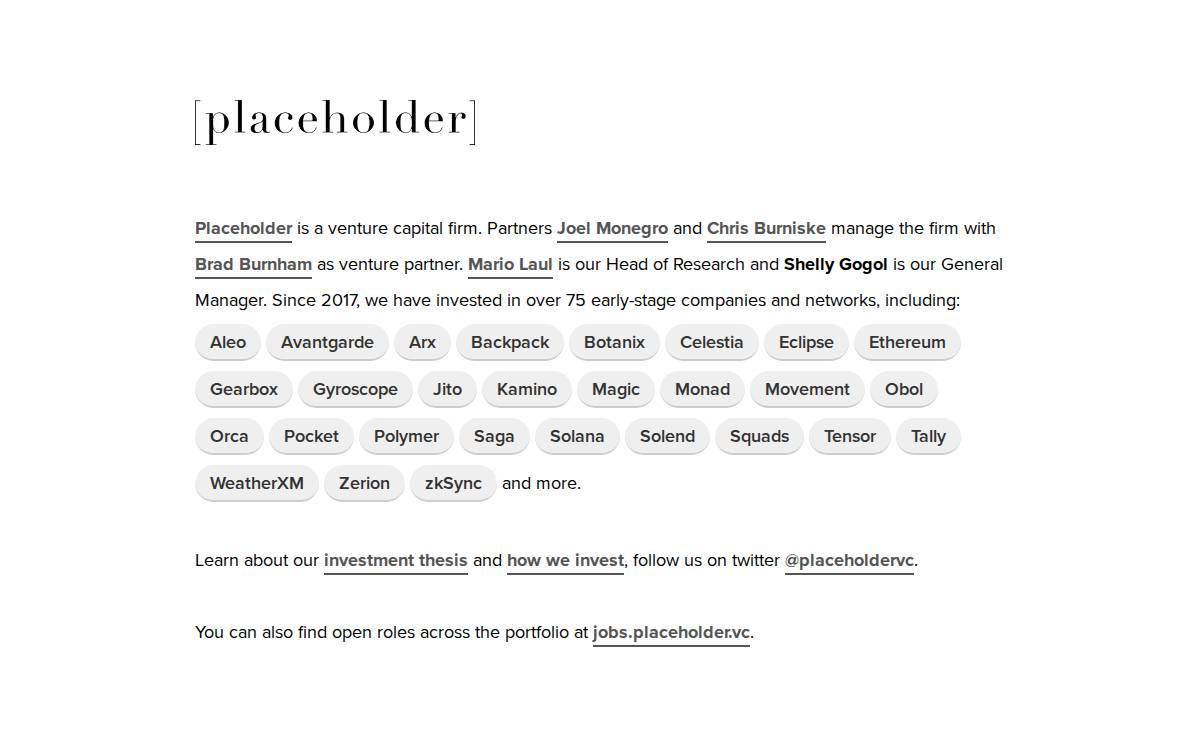 Placeholder website preview