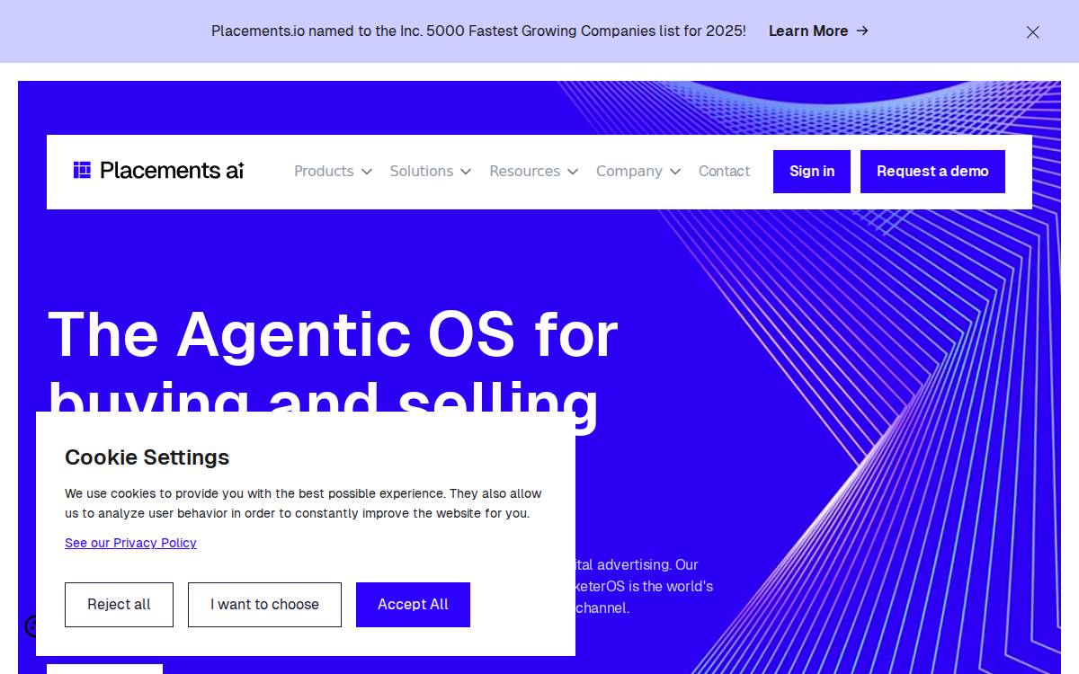 Placements website preview