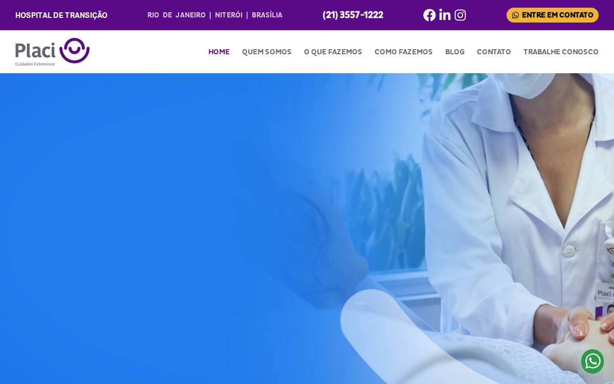 Placi website preview