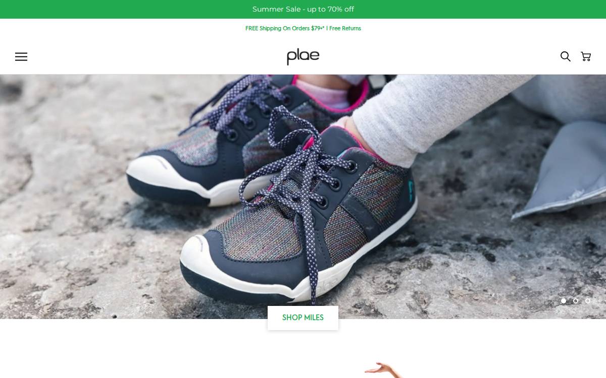 Plae website preview