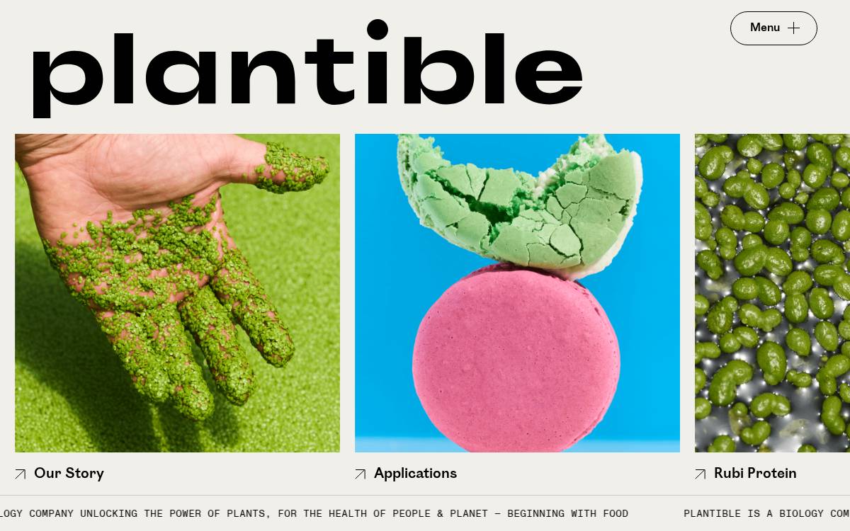 Plantible website preview