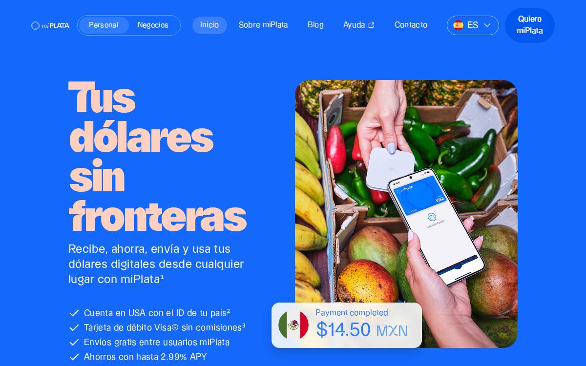 Plata website preview