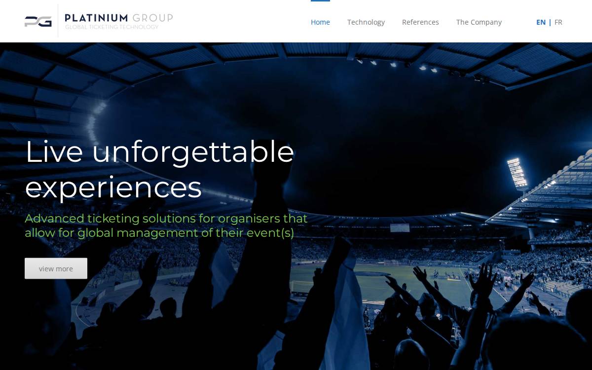 Platinium Group website preview