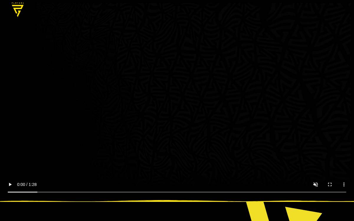 Player1 Gaming Group website preview