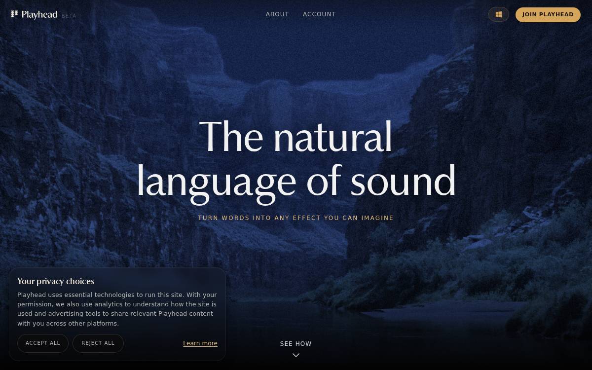 Playhead website preview