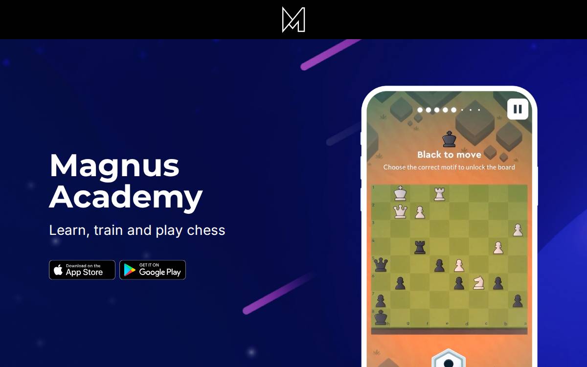Playmagnus website preview