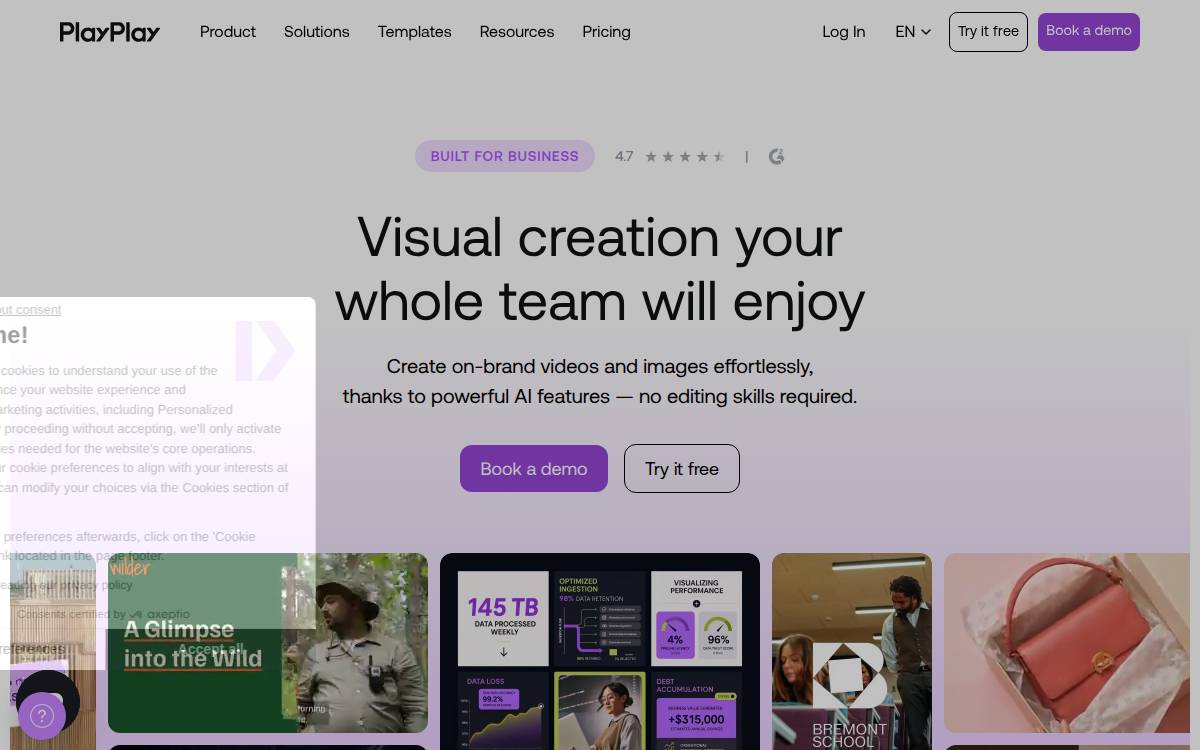 Playplay website preview