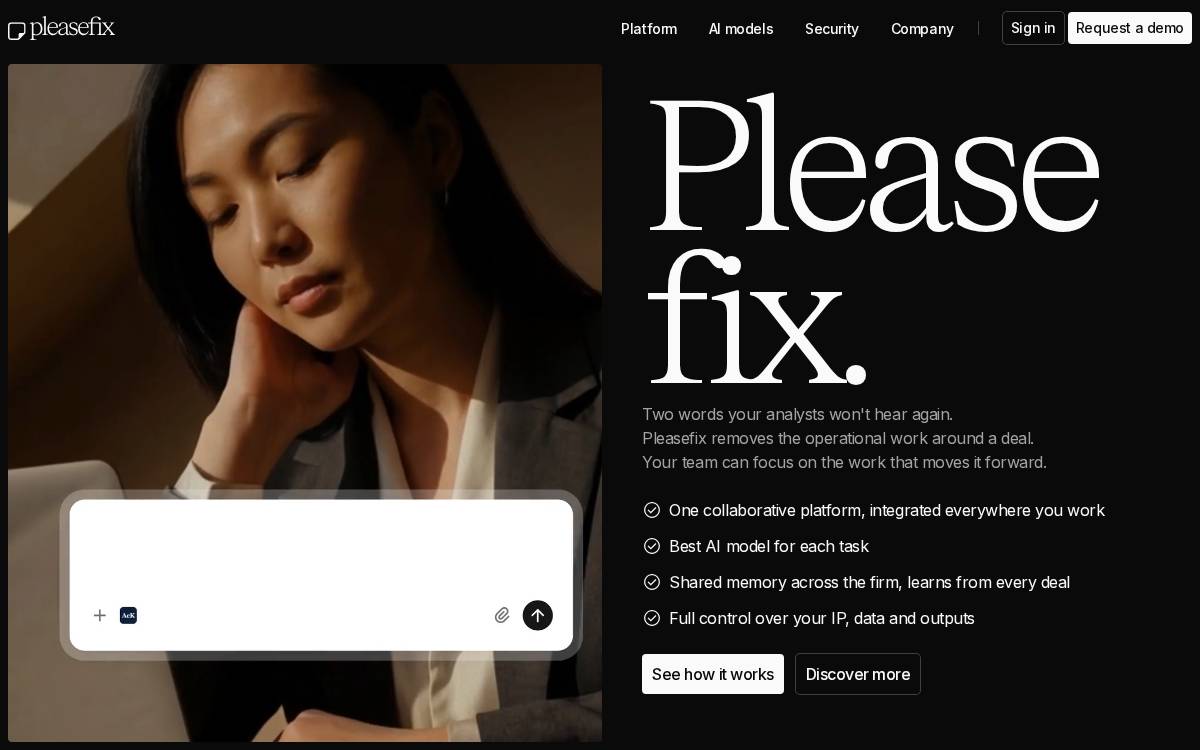 Pleasefix website preview