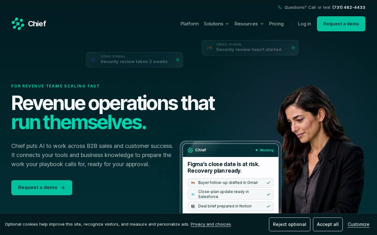 Plena website preview