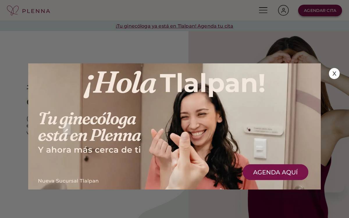 Plenna website preview
