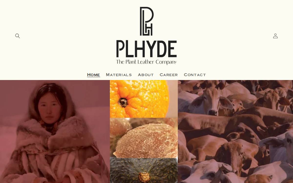 Plhyde website preview