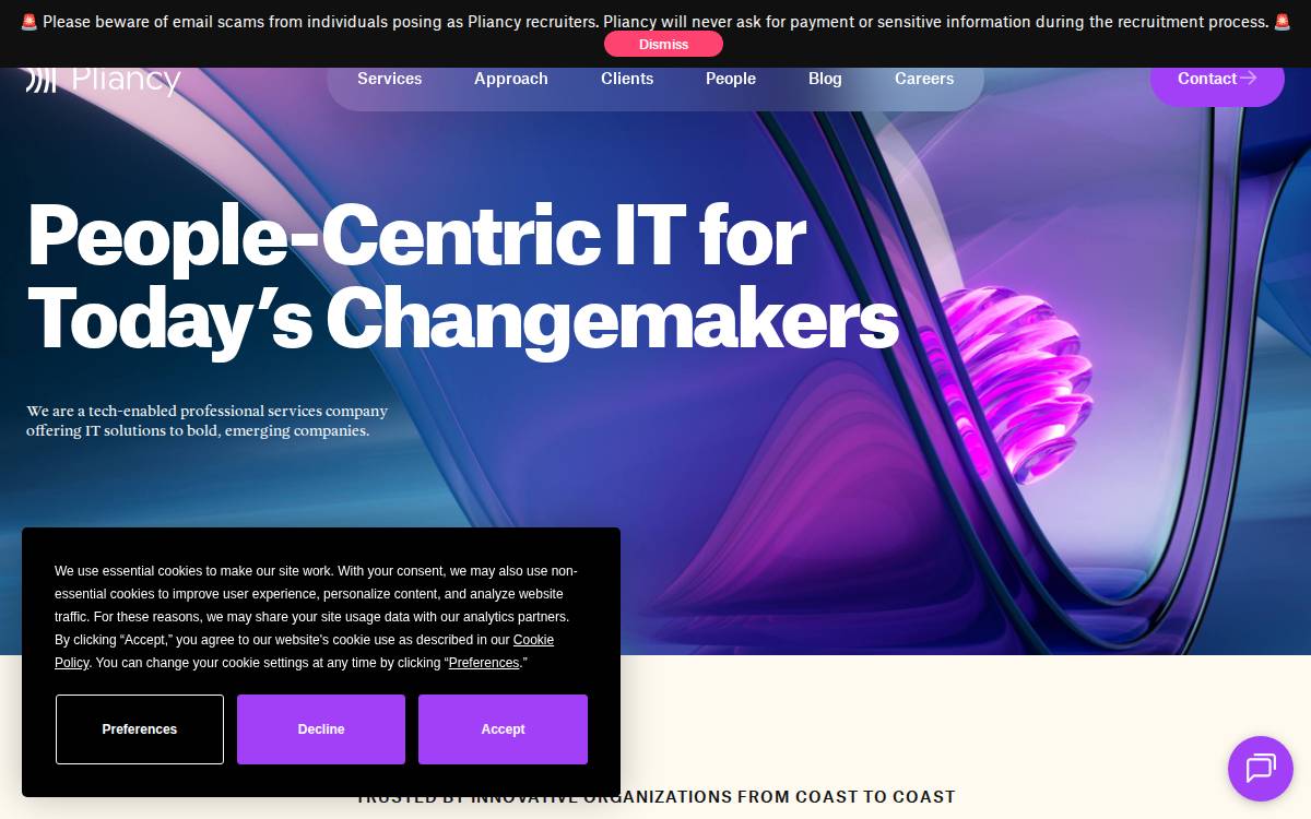 Pliancy website preview