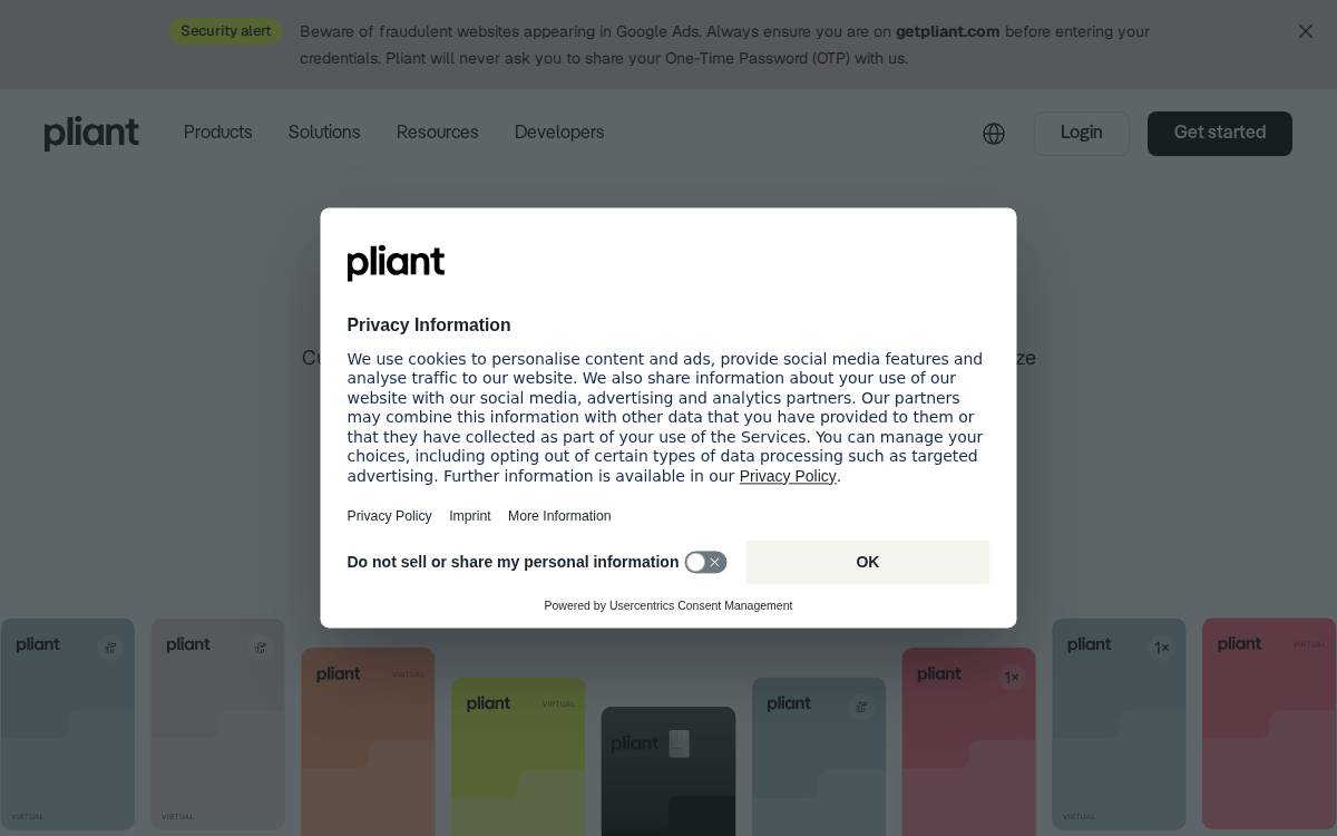 Pliant website preview